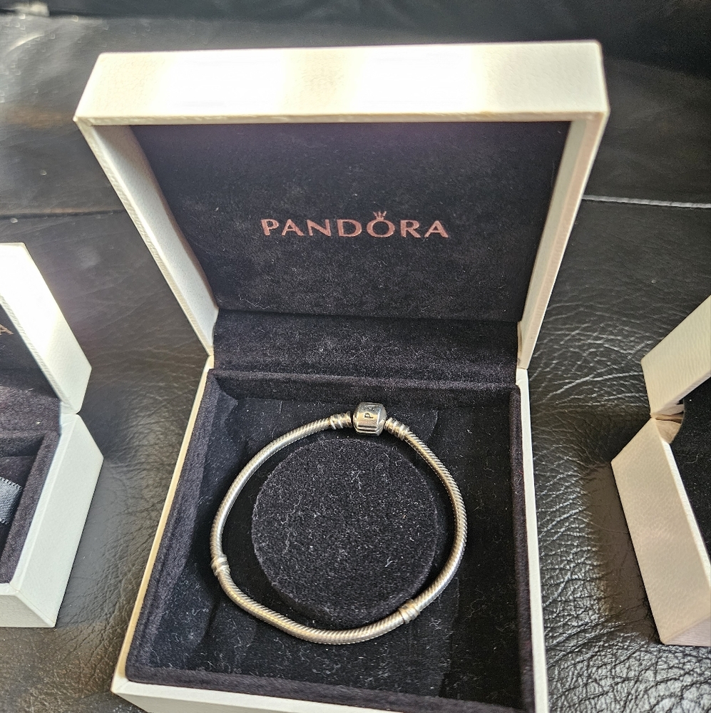Pandora 7.25 Inch Snake Chain Bracelet